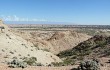 Vista previa de Tephrocactus alexanderi