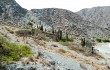 Vista previa de Echinopsis pasacana